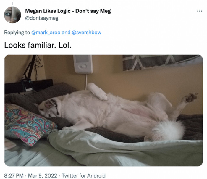 6. And this is how this doggo chooses to take a trip into the dream world