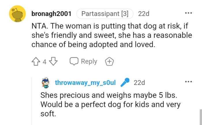 The woman is putting the dog at risk