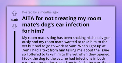 Redditor Helps His Roommate Take His Dog to the Vet, Gets Thanked with Criticism for Not Administering Treatment to the Dog