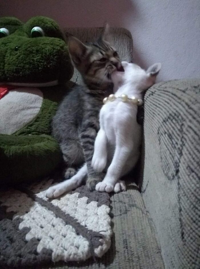 21. That moment when love and chaos arrive at the exact same second.