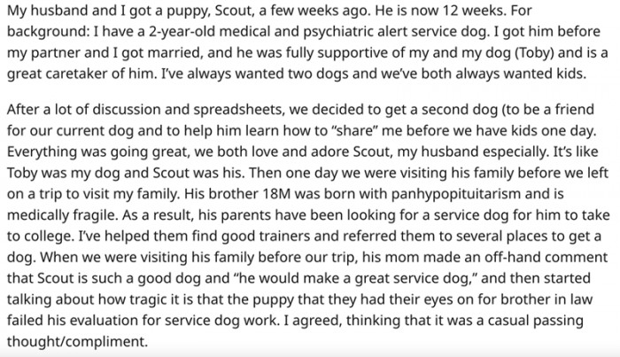 WIBTA for refusing to give up my puppy to be BIL's service dog?