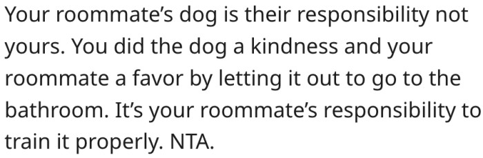 3. His roommate should be held accountable for the dog's training.