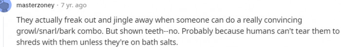 12. Humans can't tear them to shreds