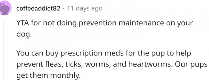 OP should've done preventive maintenance on the dog.