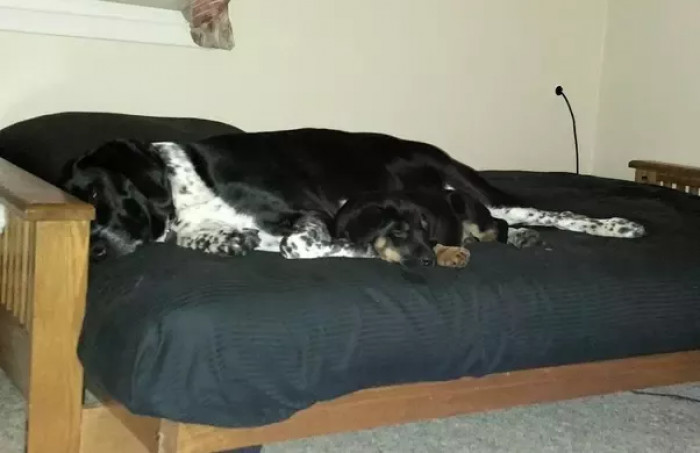 5. A brief attachment story