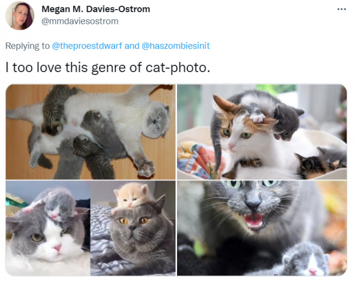 Their cuteness is contagious.