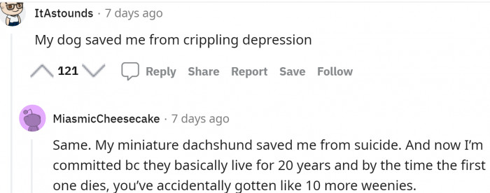 Sometimes, our dogs save us in other, less obvious ways....