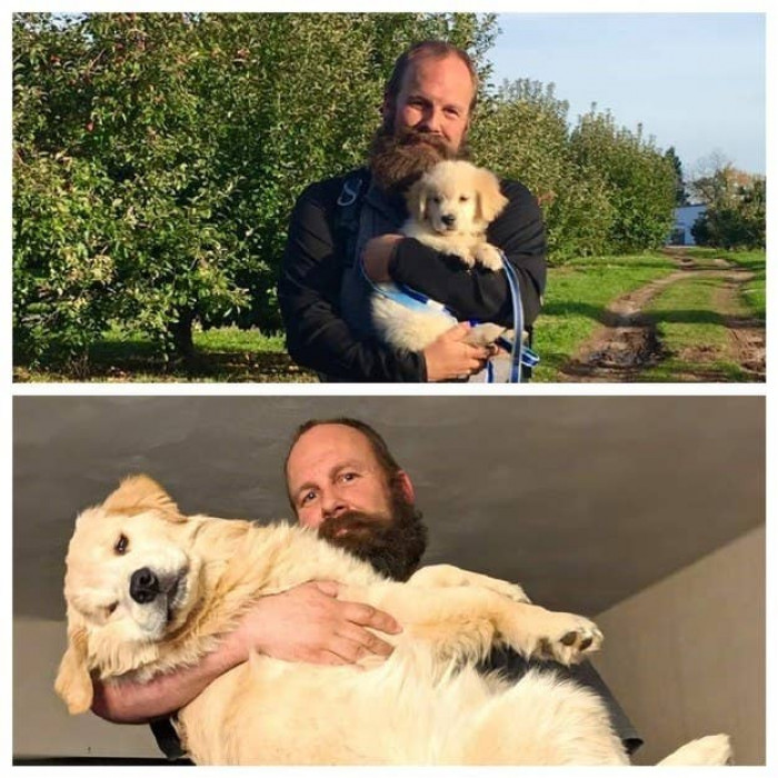 23. Midas still wants to be carried like a baby when he's about to snooze.