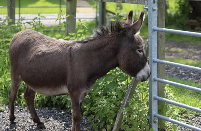 The staff took to Facebook to express their deep sadness and great concern about the situation.