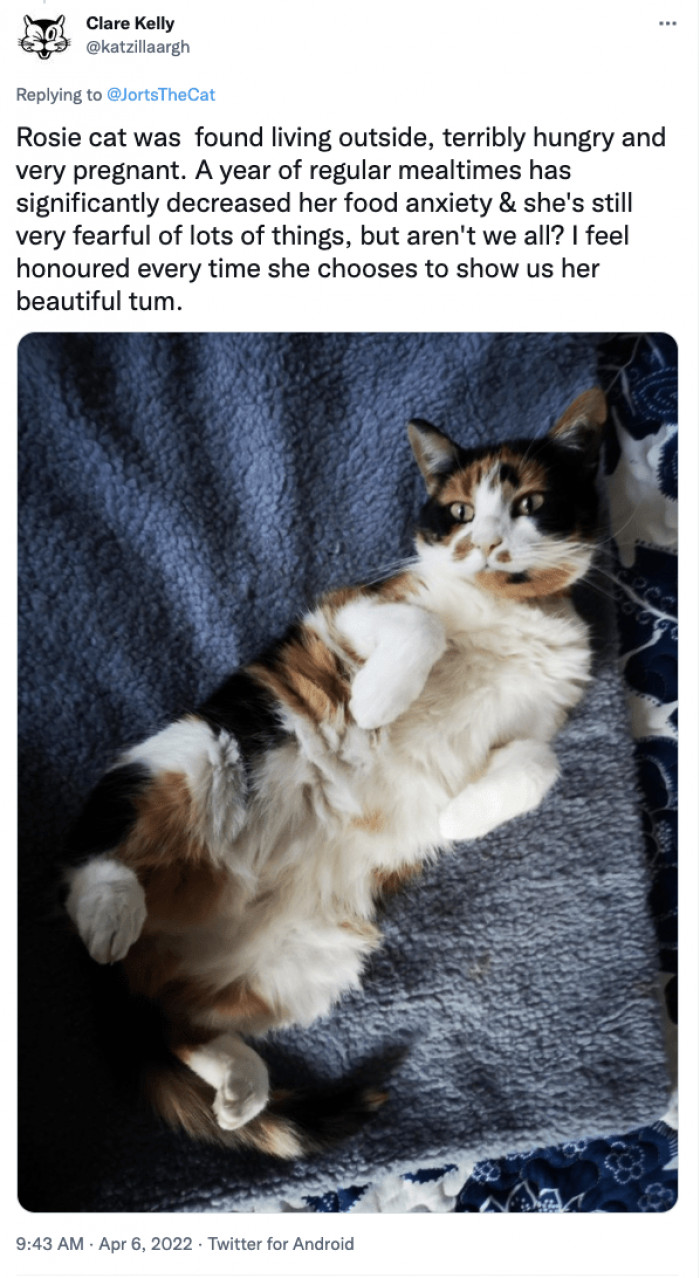 Fear is something they had to deal with extensively, and it's normal.