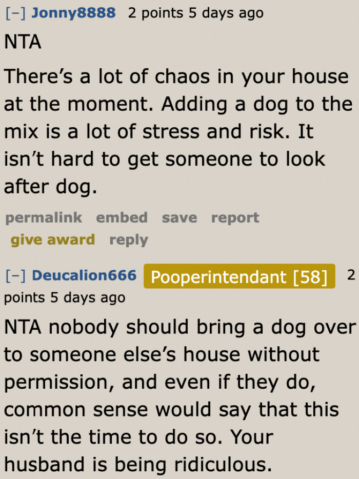 The relatives should understand that having a dog in their home is just added stress.