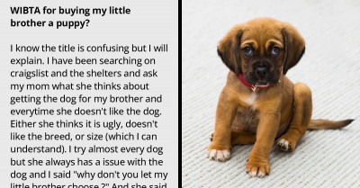 Person Wants To Get A Puppy For Their Little Brother Without Their Mom's Approval, And Redditors Try To Talk Them Out Of It