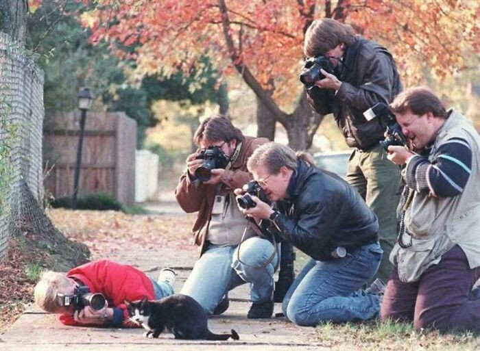 "Paparazzi surrounding Socks, Bill Clinton's cat, circa 1992."