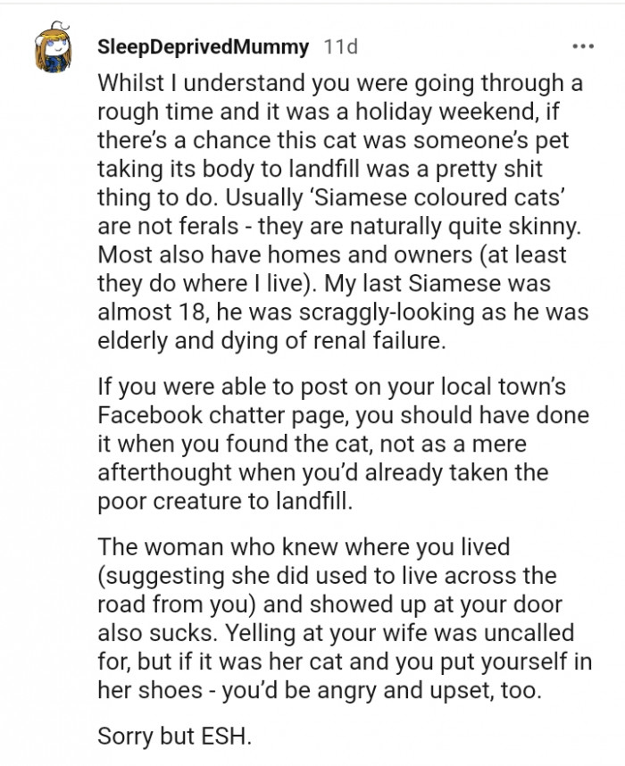 You should have done it when you found the cat.