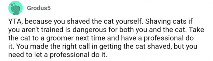 And there were some strong feelings about OP shaving the cat himself