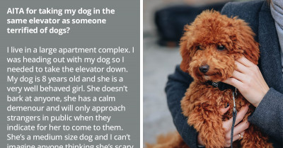 Redditors Condemn Pet Owner Who Allowed Their Dog In An Elevator With A Woman Who Made It Clear That She's Afraid Of Canines