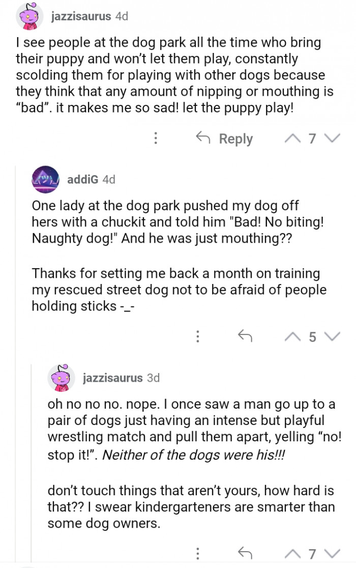 #9 Adopting a pet is similar to parenting; make sure to commit and be proper.