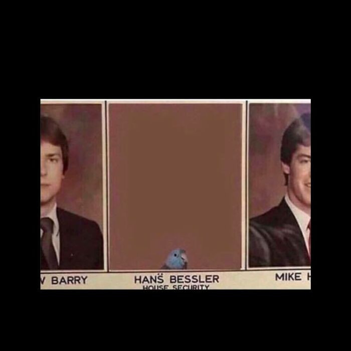 13. "House Security" lol!