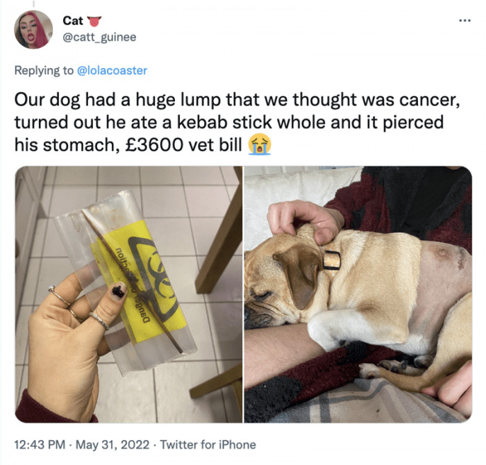 7. He Ate a Kebab Stick