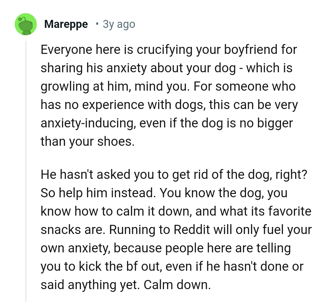 The OP knows the dog