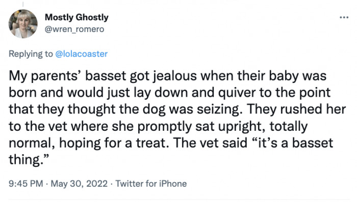 16. It's a Basset Thing