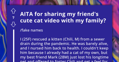 Woman Shares Friend's Cute Cat Video With Family Online, Friend Freaks Out and Demands She Deletes It