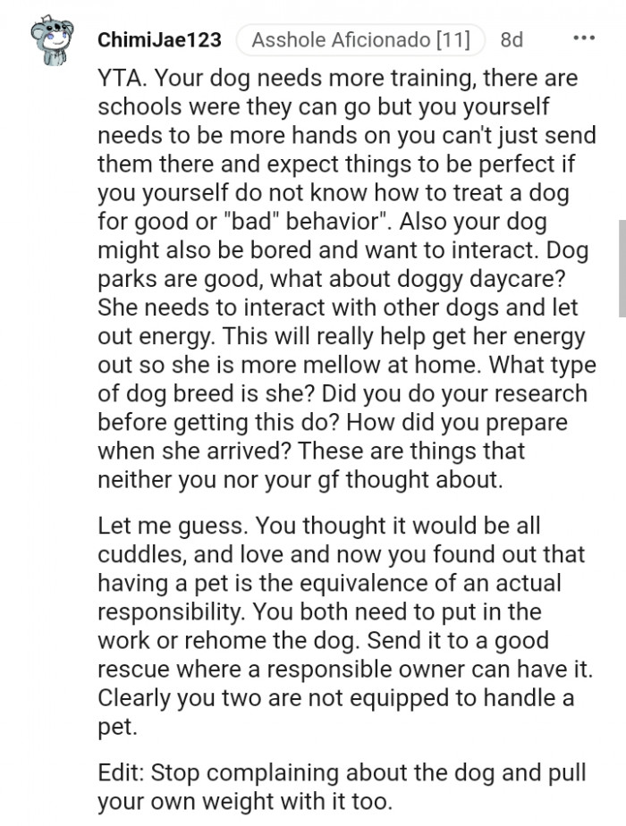 Your dog might also be bored and want to interact