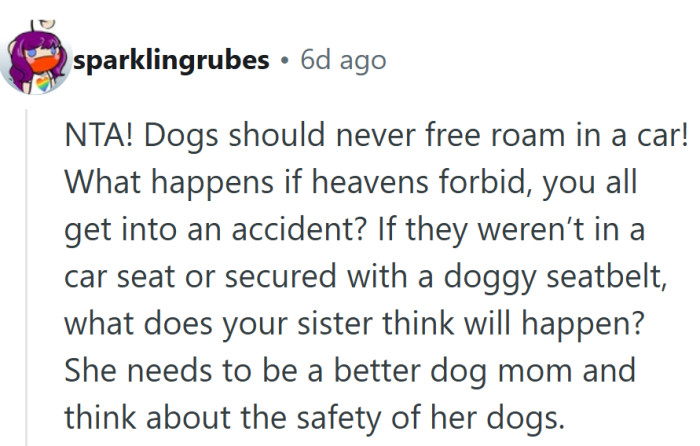 Every car ride feels different once you realize “doggy seatbelts” are actually a thing for a reason.