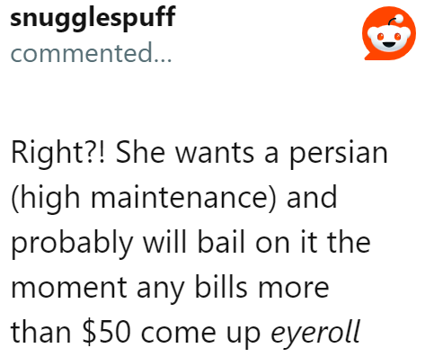 This lady will just end up surrendering the cat to an already overpopulated animal shelter.