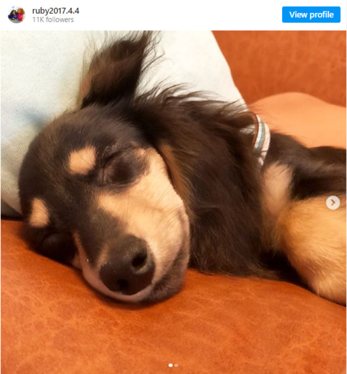 1. Check out this drowsy weenie: