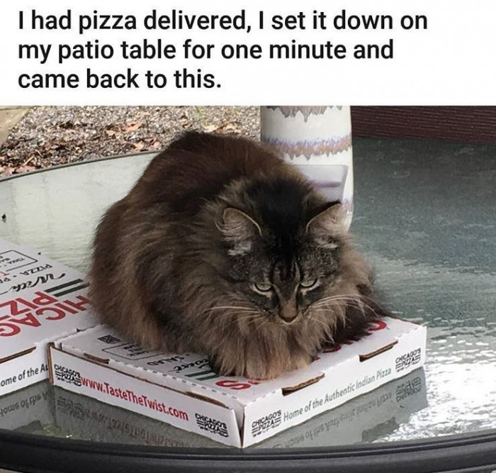 2. Must be so nice and warm.