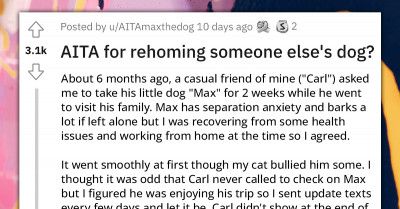 Friendship Breaks Apart After Man Rehomes A Friend's Dog