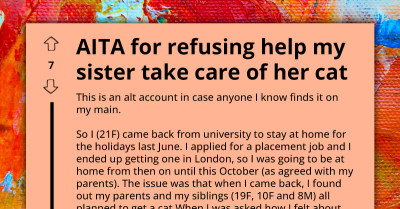 Argument Erupts After Family Dumped Cat Responsibilities on Child Despite Her Not Wanting the Cat in the First Place