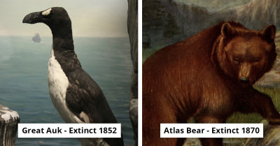 32 Incredible Animals That Once Roamed the Planet Before Going Extinct
