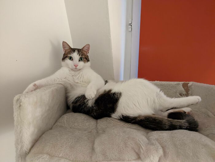 "Moka Has Perfected The "Draw Me Like One Of Your French Girls" Pose"