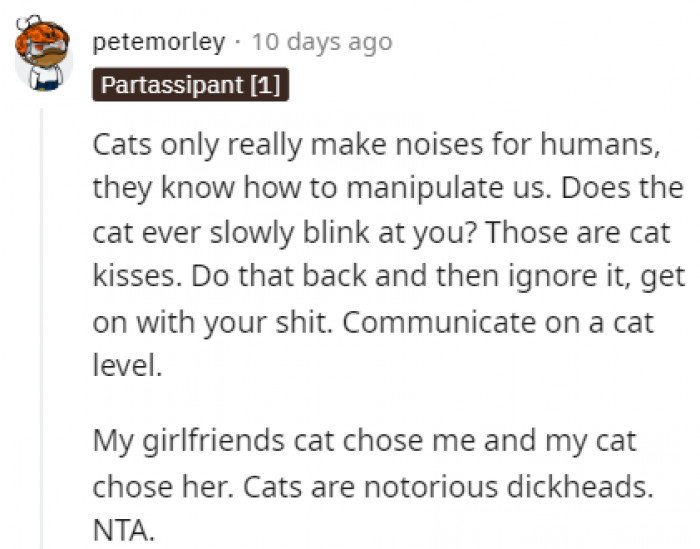 Can cats really be trusted to this extent?