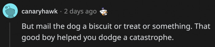 OP owes that dog her sanity