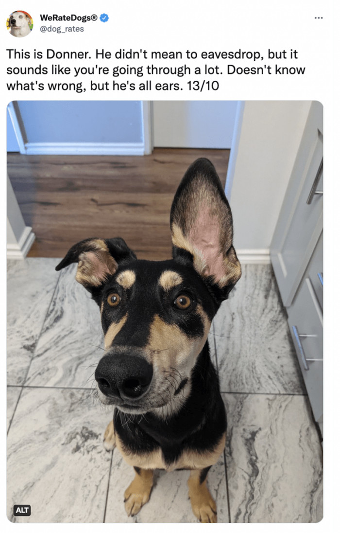 5. Donner is ready to listen to your problems.