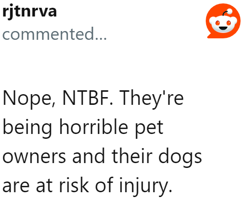 It's the neighbors who are in the wrong for putting their dogs in danger.