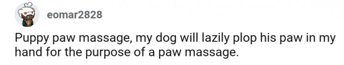 29. Puppy paw massage