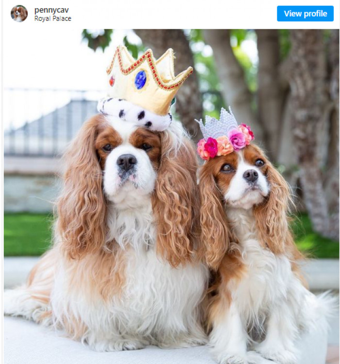 5. The Royal Family member - Penny