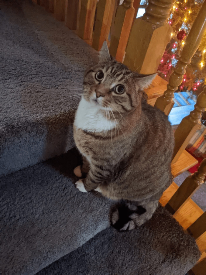 14. "Sometimes he poses for a picture."