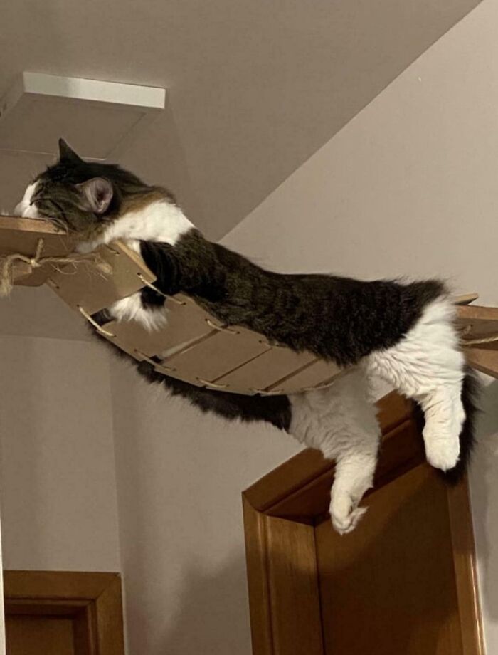 This isn’t how I expected it to go.