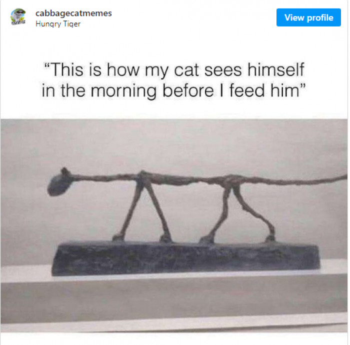 18. But still, they love us so dearly. Now, run off and go feed your furry baby