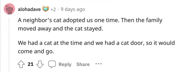 "The Cat Chose Me" stories always inspire a flush of equally delightful stories where cats chose their homes and families.