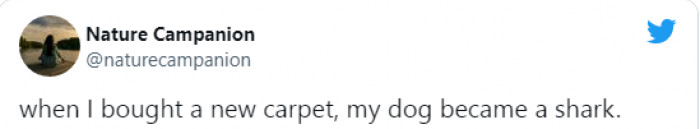 13. The sight of something new triggers my shark abilities