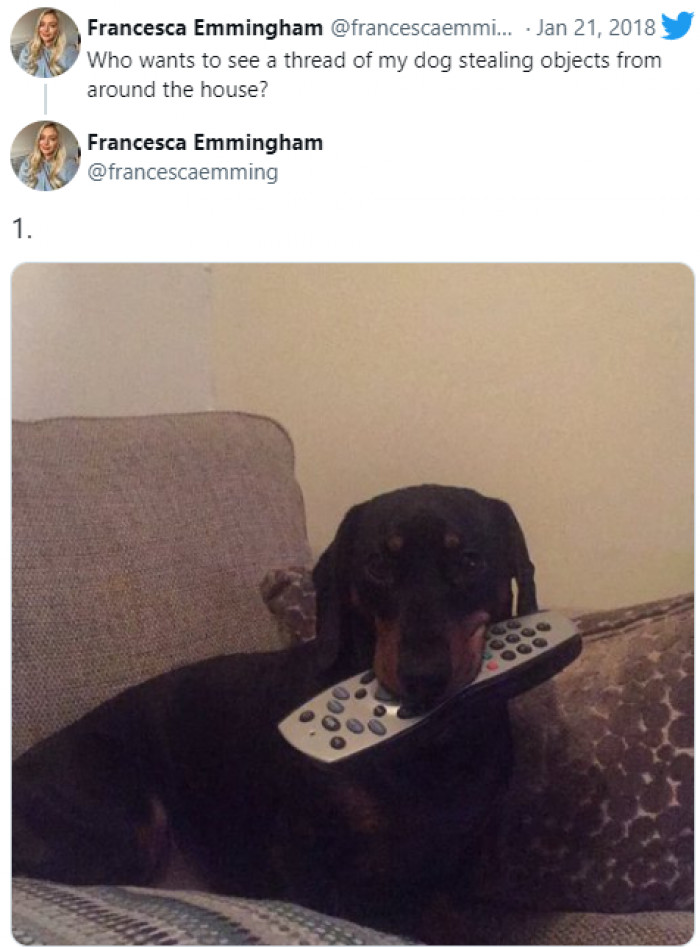 6. This remote is mine