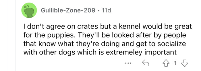 It's extremely important for dogs to socialize with their peers.