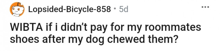 Dogs chew things, but who is going to provide a new one?