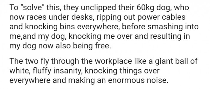 A giant ball of white, fluffy insanity